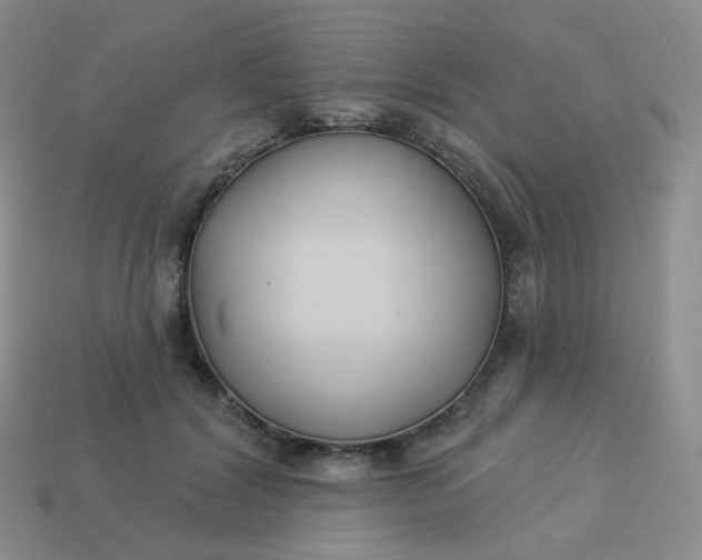 X0000114020604200910161758