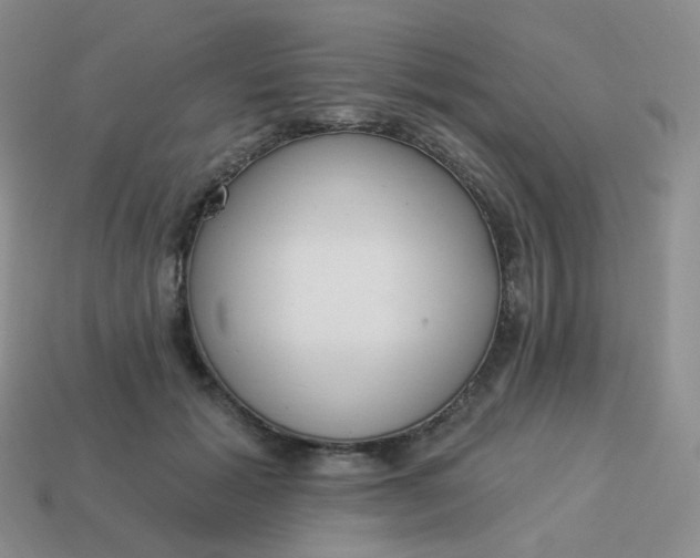 X0000114020605200910161758