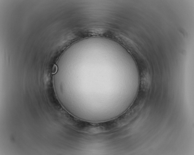 X0000114020608200910161758