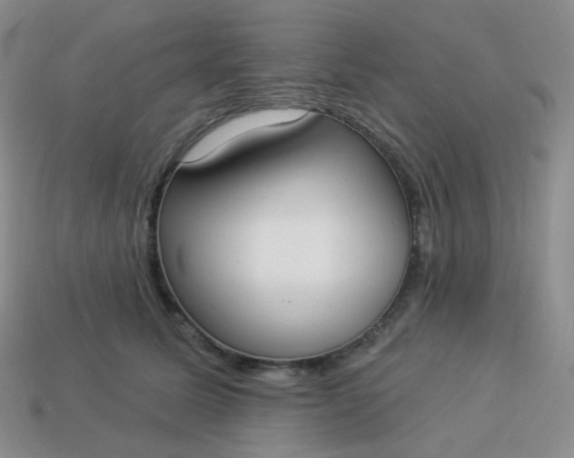 X0000114020611200910161758