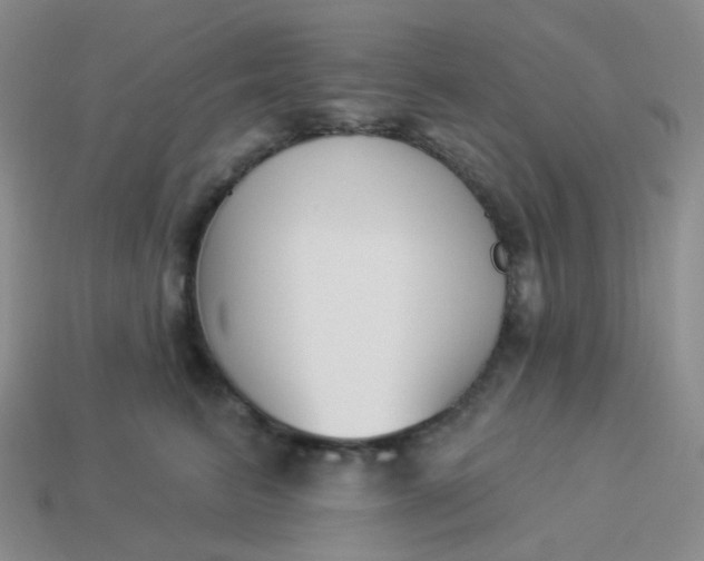 X0000114020615200910161758