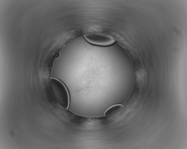 X0000114020617200910161758