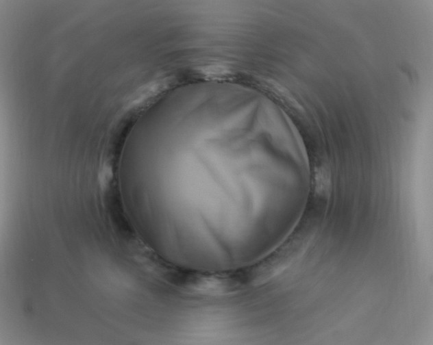 X0000114020618200910161758