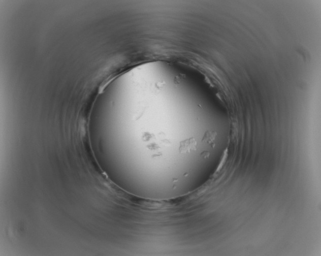 X0000114020621200910161758