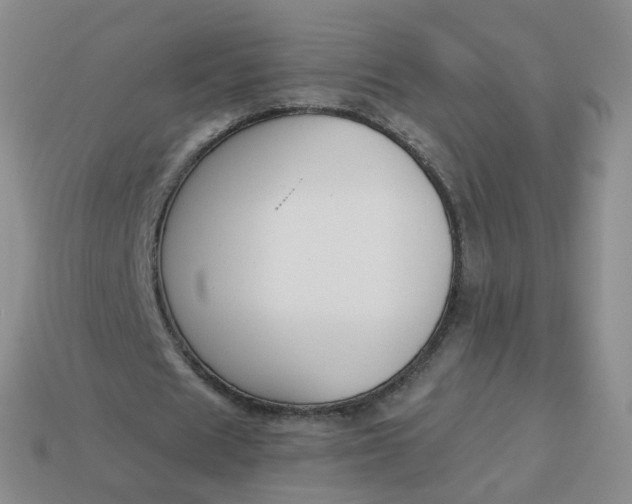 X0000114020625200910161757