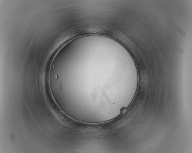 X0000114020626200910161757