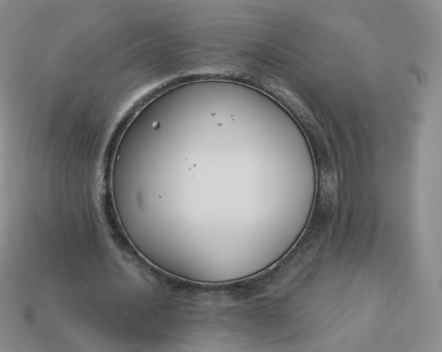 X0000114020628200910161757