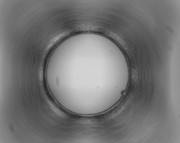 X0000114020629200910161757