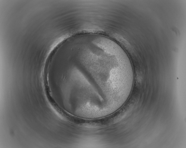 X0000114020630200910161757