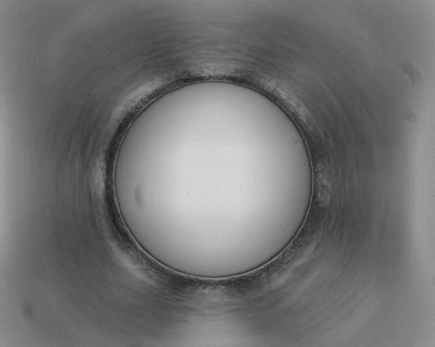 X0000114020631200910161757