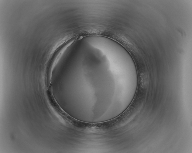 X0000114020634200910161757