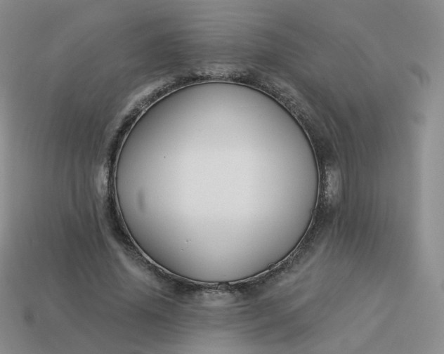 X0000114020636200910161757