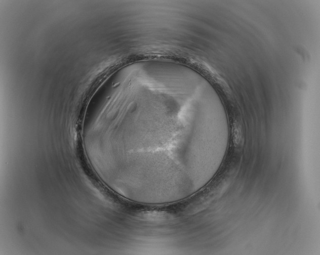 X0000114020637200910161757