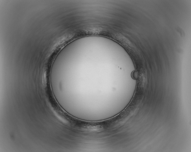 X0000114020638200910161757