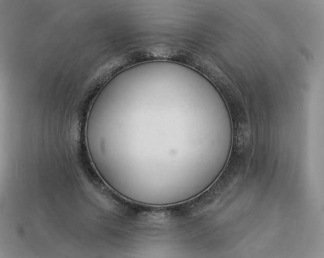 X0000114020639200910161757