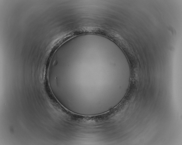 X0000114020640200910161757