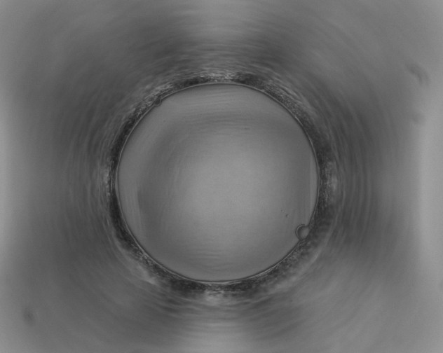 X0000114020641200910161757