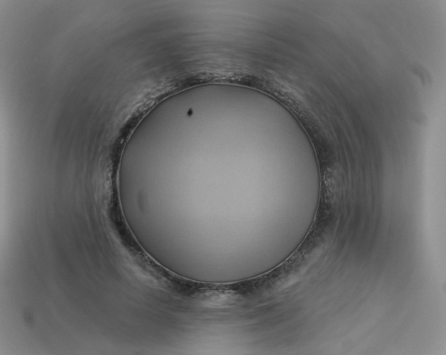 X0000114020642200910161757