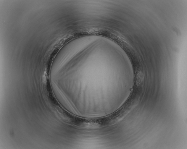 X0000114020644200910161757