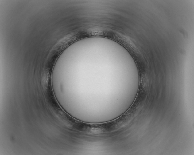 X0000114020645200910161757