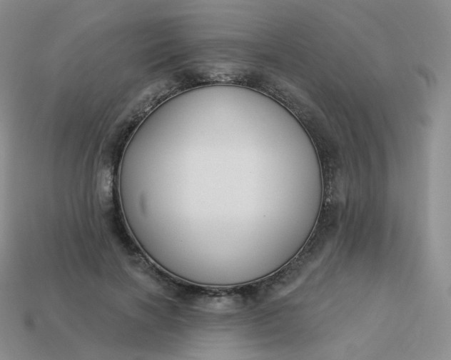 X0000114020646200910161757