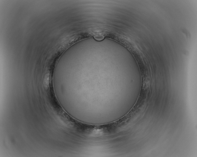 X0000114020647200910161757