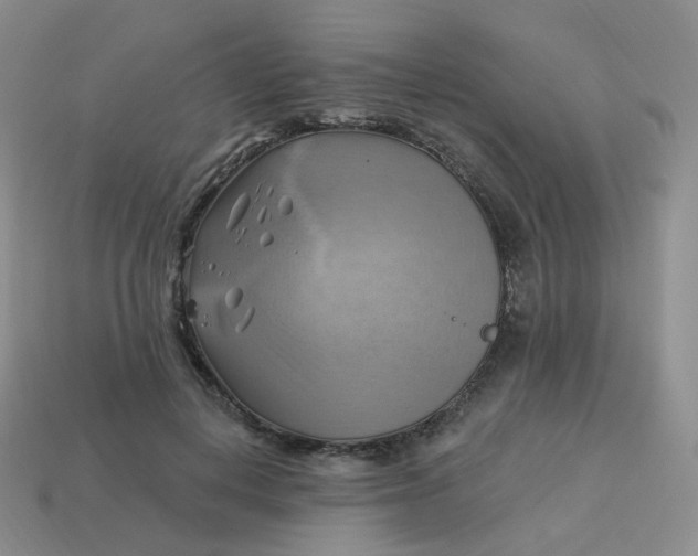 X0000114020648200910161757