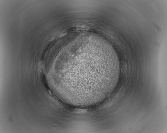 X0000114020649200910161757