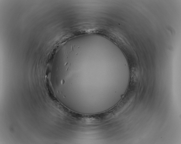 X0000114020650200910161757