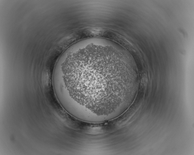 X0000114020651200910161757