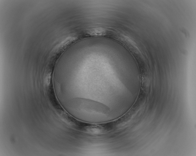 X0000114020652200910161758