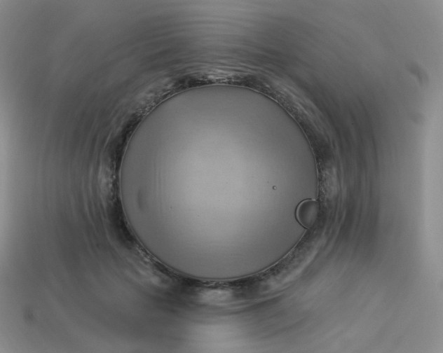 X0000114020653200910161758