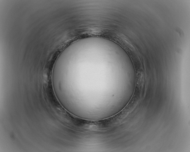 X0000114020655200910161758