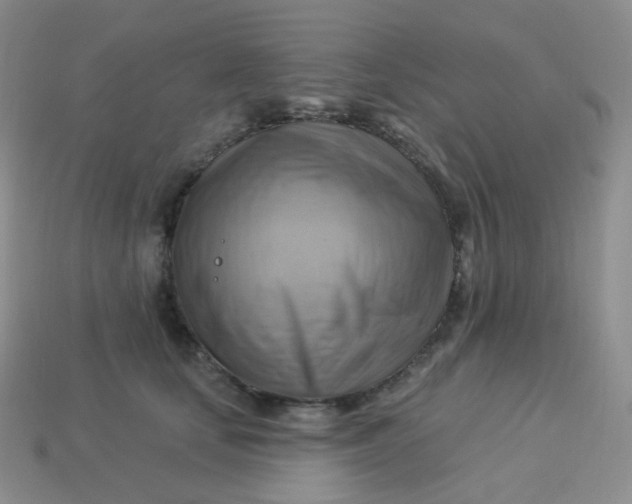 X0000114020659200910161758