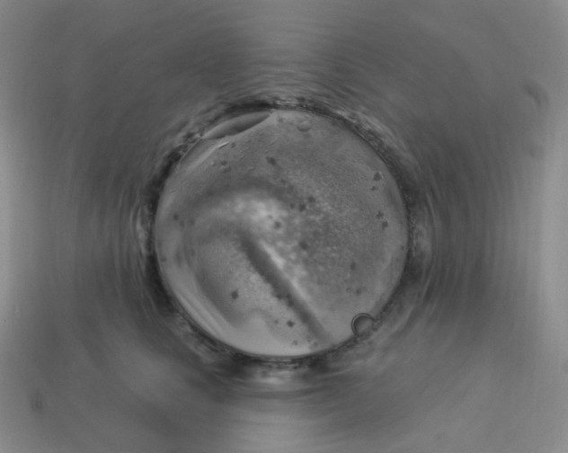 X0000114020661200910161758