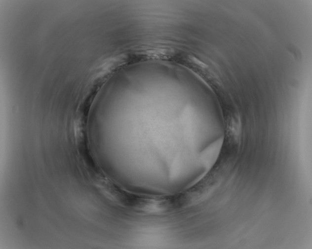 X0000114020663200910161758