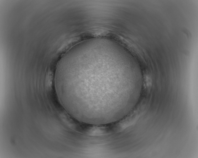 X0000114020664200910161758