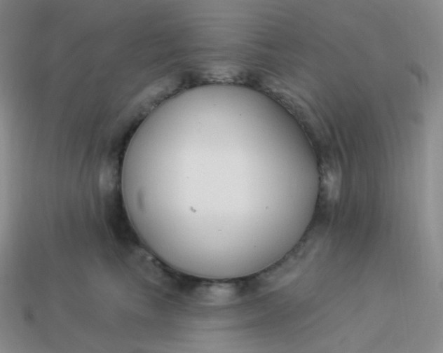 X0000114020665200910161758