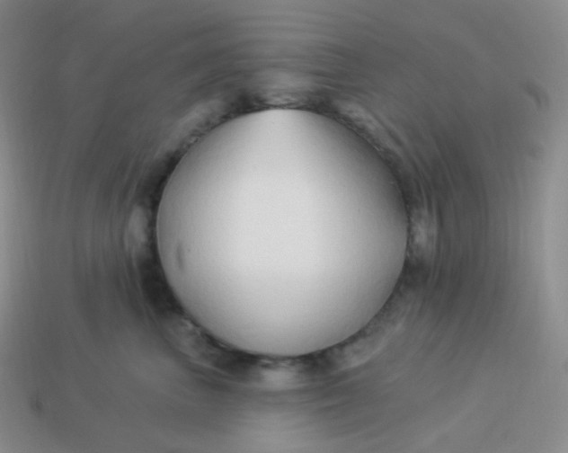 X0000114020667200910161758