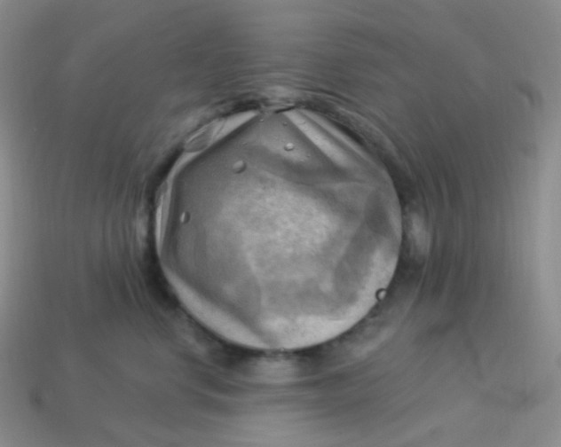 X0000114020668200910161758