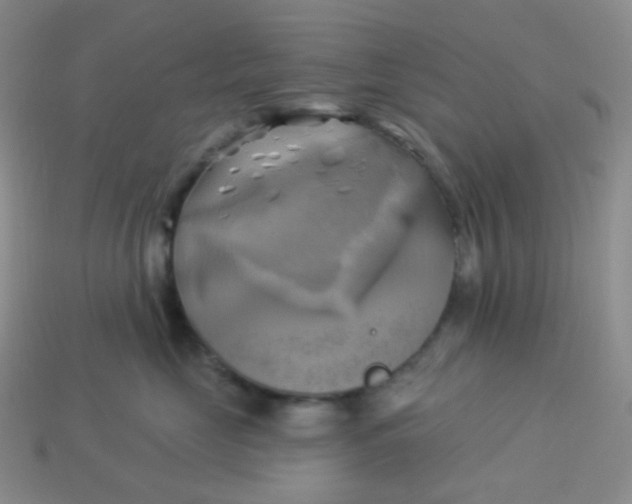 X0000114020669200910161758