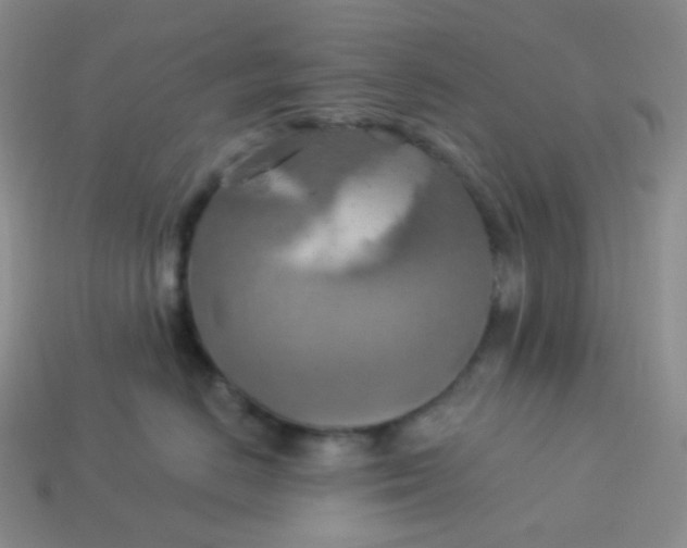 X0000114020670200910161758