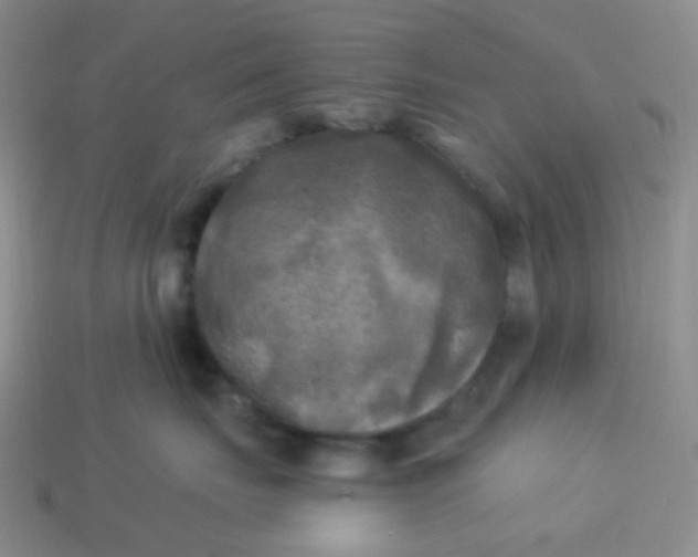 X0000114020671200910161758