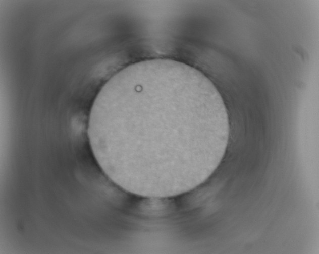 X0000114020672200910161758