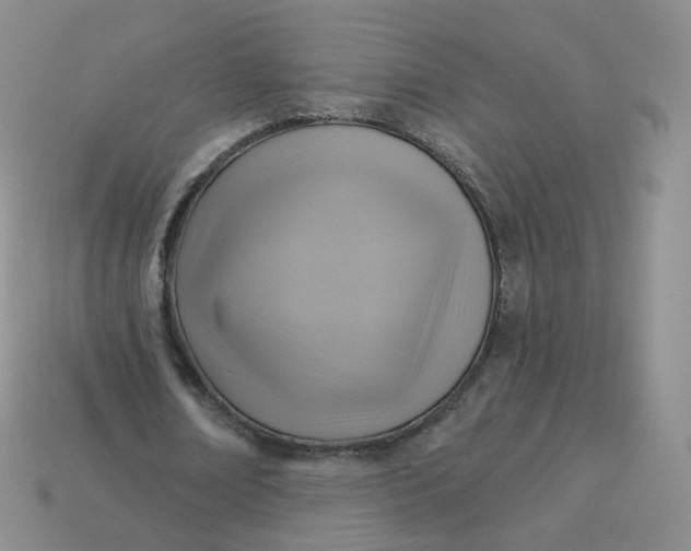 X0000114020674200910161757