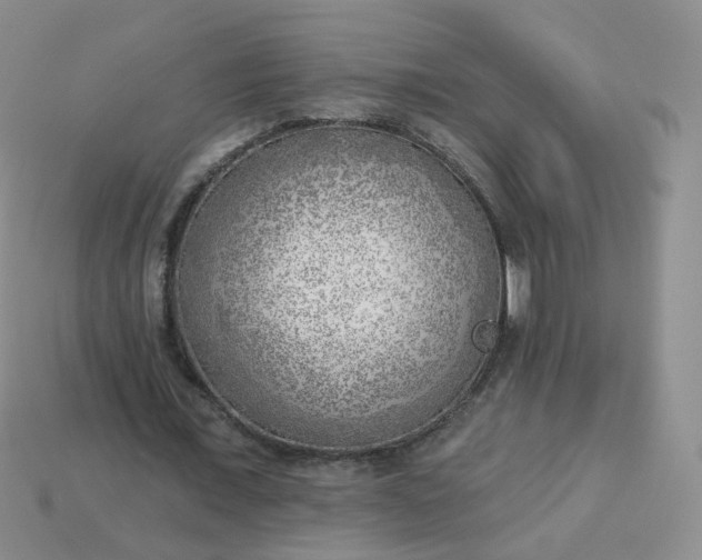 X0000114020675200910161757