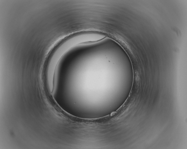 X0000114020676200910161757