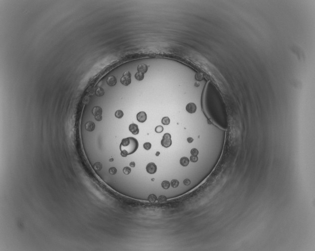 X0000114020677200910161757