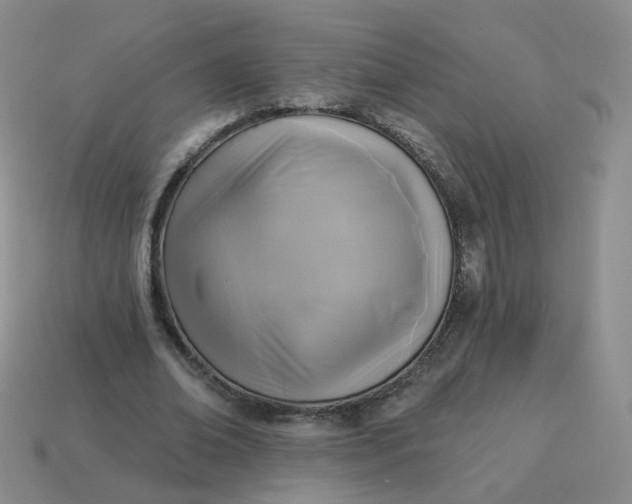 X0000114020678200910161757