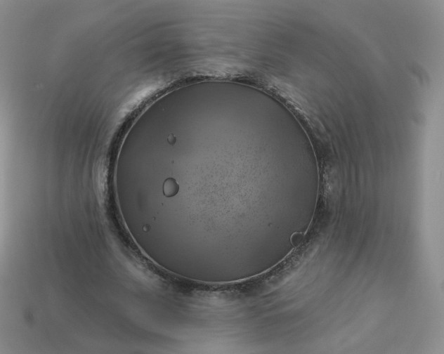 X0000114020679200910161757